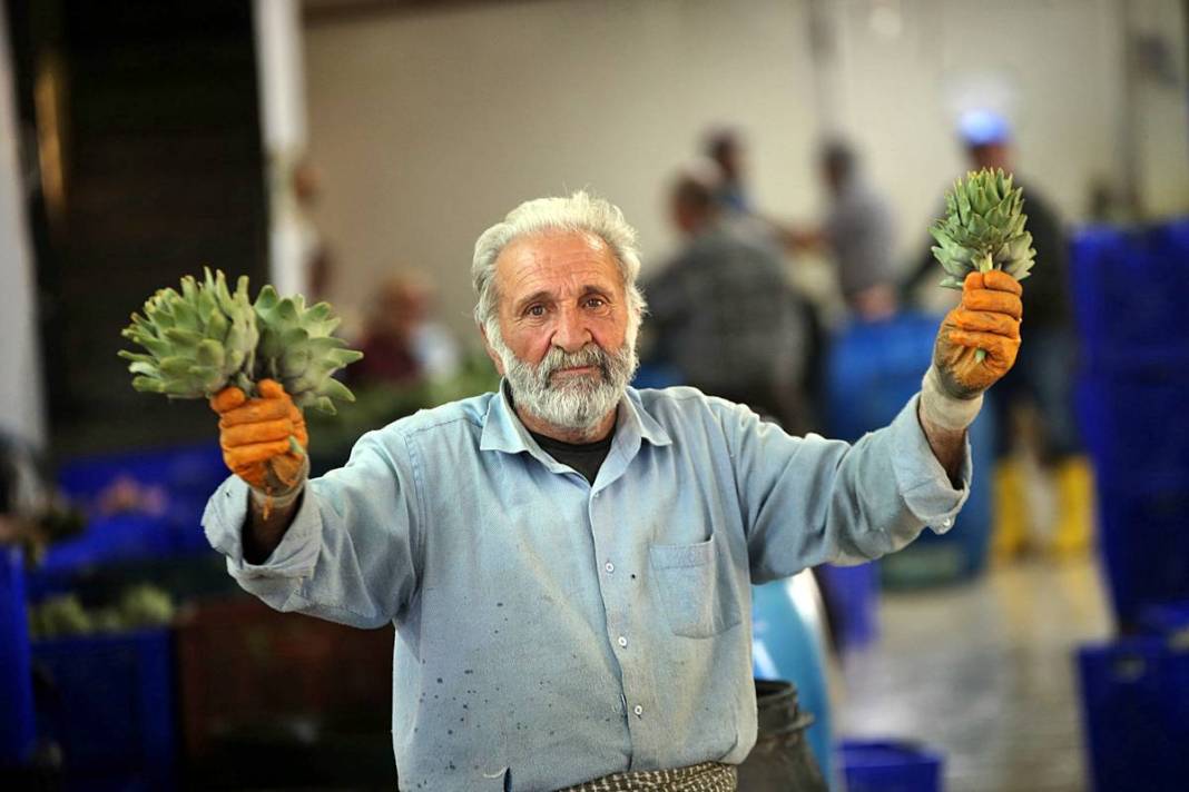 Hızlı soyan 20 erkek topladı: Kişi başı günde 2500 TL kazanıyorlar! 'Çok güçlü bir ekibimiz var, hızlıca soyuyoruz' 6